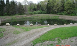 Pond-01